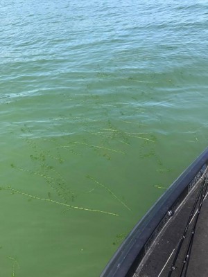 hideup 永野総一朗 ブログ写真 2017/06/18