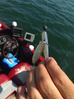 hideup 永野総一朗 ブログ写真 2014/09/17