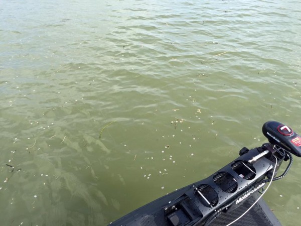 hideup 永野総一朗 ブログ写真 2016/04/08