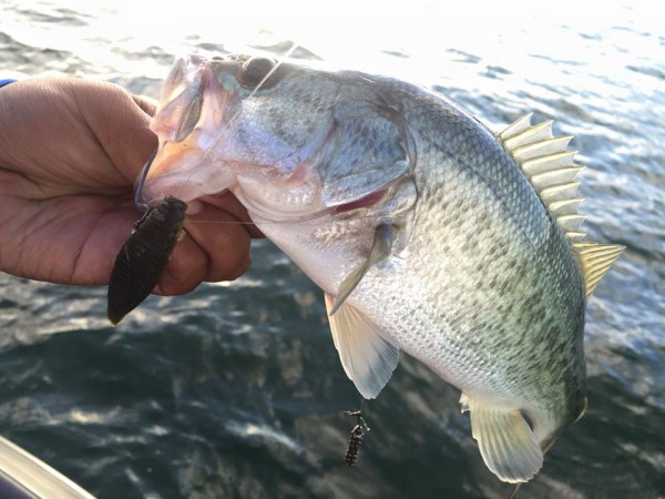 hideup 永野総一朗 ブログ写真 2016/08/27