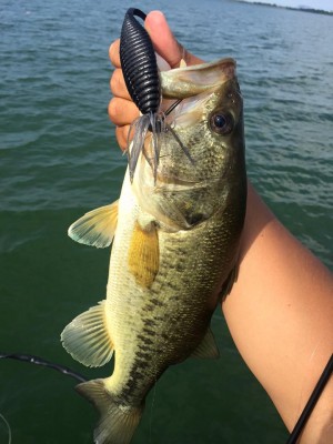 hideup 永野総一朗 ブログ写真 2016/06/08