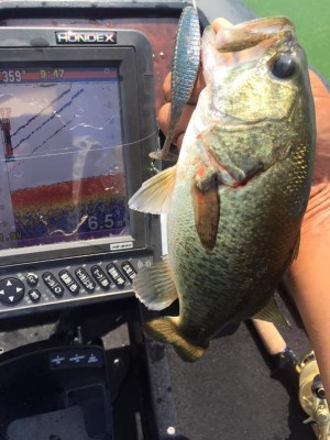 hideup 永野総一朗 ブログ写真 2016/09/06