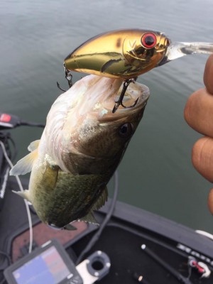 hideup 永野総一朗 ブログ写真 2016/10/01