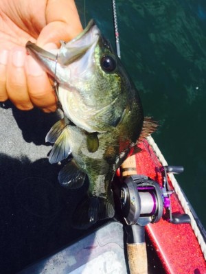 hideup 永野総一朗 ブログ写真 2015/07/10