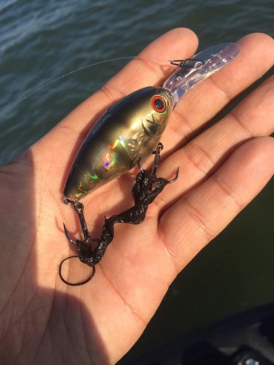 hideup 永野総一朗 ブログ写真 2016/11/05