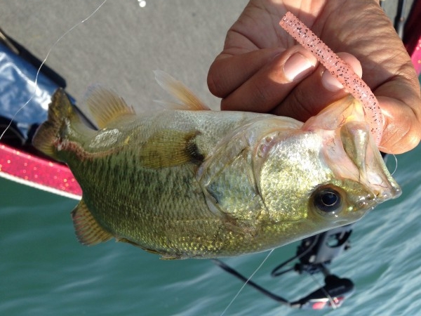 hideup 永野総一朗 ブログ写真 2014/06/26