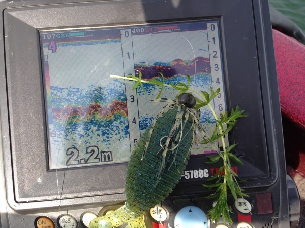 hideup 永野総一朗 ブログ写真 2014/06/24