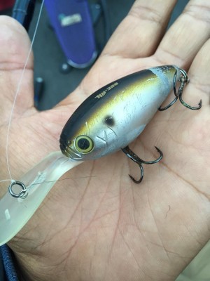 hideup 豌ｸ驥守ｷ丈ｸ譛� 繝悶Ο繧ｰ蜀咏悄 2015/10/08