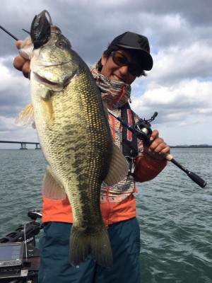 hideup 豌ｸ驥守ｷ丈ｸ譛� 繝悶Ο繧ｰ蜀咏悄 2017/04/13