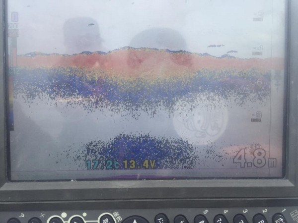 hideup 永野総一朗 ブログ写真 2017/05/04