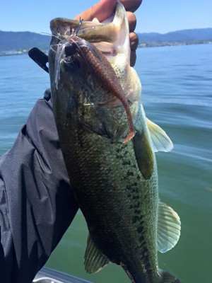 hideup 永野総一朗 ブログ写真 2016/06/03