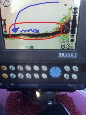 hideup 豌ｸ驥守ｷ丈ｸ譛� 繝悶Ο繧ｰ蜀咏悄 2015/12/13