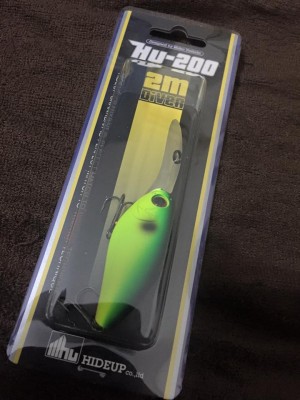 hideup 永野総一朗 ブログ写真 2016/01/21