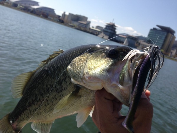 hideup 永野総一朗 ブログ写真 2013/04/08