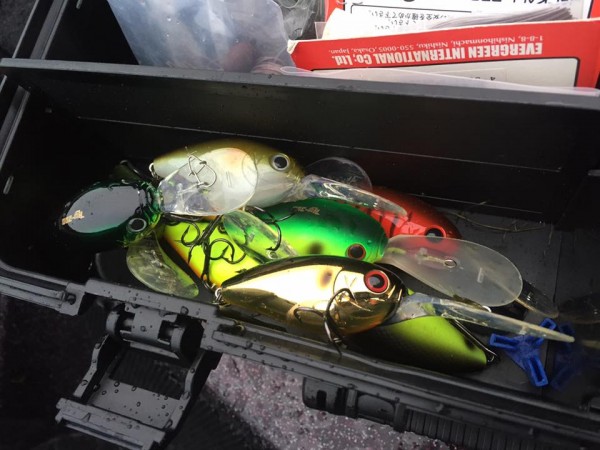 hideup 豌ｸ驥守ｷ丈ｸ譛� 繝悶Ο繧ｰ蜀咏悄 2016/11/09