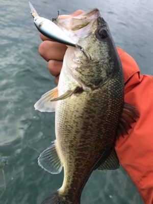 hideup 永野総一朗 ブログ写真 2017/12/01