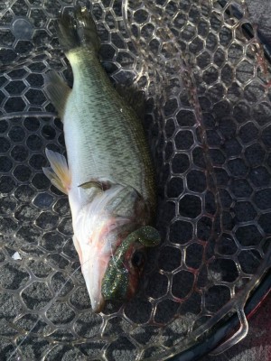 hideup 永野総一朗 ブログ写真 2015/08/24