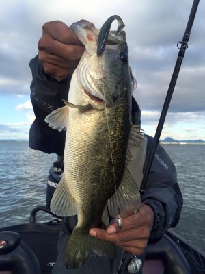 hideup 永野総一朗 ブログ写真 2016/06/01