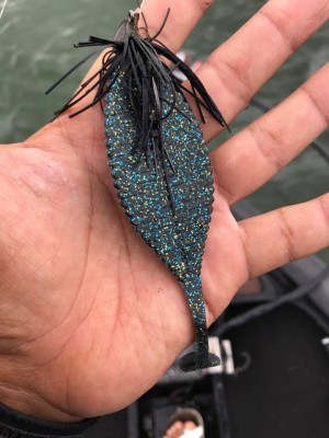 hideup 永野総一朗 ブログ写真 2017/07/06