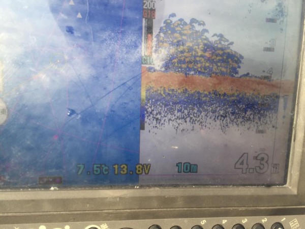 hideup 永野総一朗 ブログ写真 2017/01/14