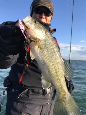 hideup 永野総一朗 ブログ写真 2017/11/25