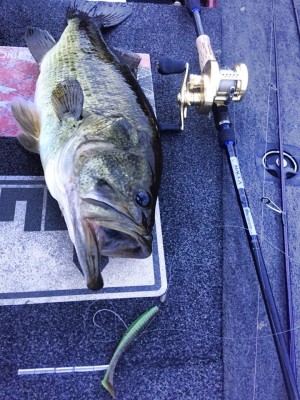 hideup 永野総一朗 ブログ写真 2015/12/18