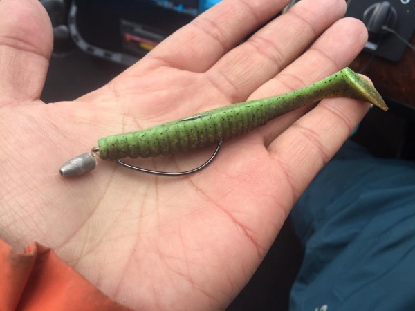 hideup 永野総一朗 ブログ写真 2017/04/20