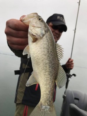 hideup 永野総一朗 ブログ写真 2017/12/06