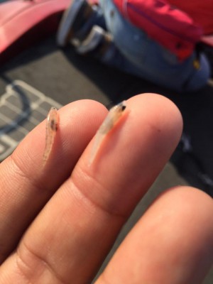 hideup 永野総一朗 ブログ写真 2015/10/05