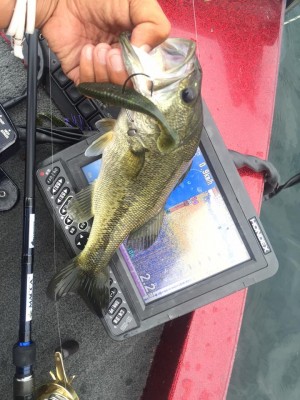 hideup 永野総一朗 ブログ写真 2015/08/29