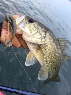 hideup 永野総一朗 ブログ写真 2015/11/07