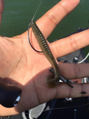 hideup 永野総一朗 ブログ写真 2016/04/23