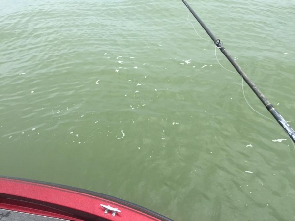 hideup 永野総一朗 ブログ写真 2015/07/21