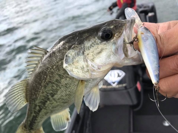 hideup 永野総一朗 ブログ写真 2017/12/02