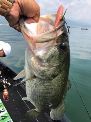 hideup 永野総一朗 ブログ写真 2017/07/07