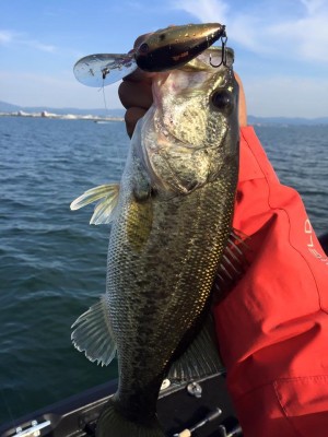 hideup 永野総一朗 ブログ写真 2016/05/19