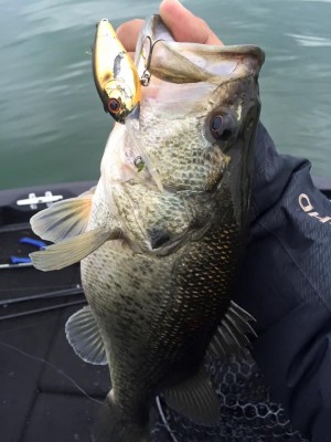 hideup 永野総一朗 ブログ写真 2016/03/06