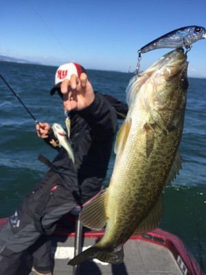 hideup 永野総一朗 ブログ写真 2015/10/07