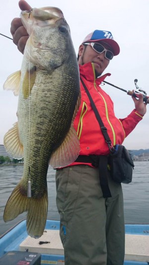 hideup 豌ｸ驥守ｷ丈ｸ譛� 繝悶Ο繧ｰ蜀咏悄 2017/05/24