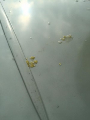 hideup 永野総一朗 ブログ写真 2016/07/23