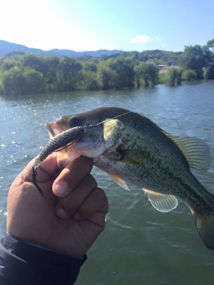 hideup 永野総一朗 ブログ写真 2016/06/02