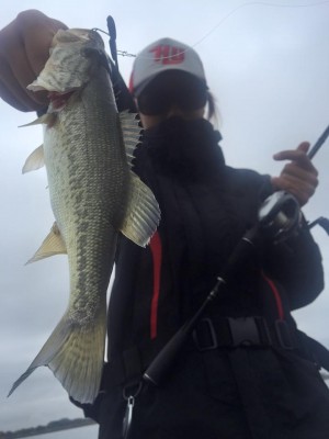 hideup 永野総一朗 ブログ写真 2015/11/09