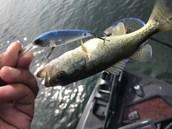 hideup 永野総一朗 ブログ写真 2017/10/18