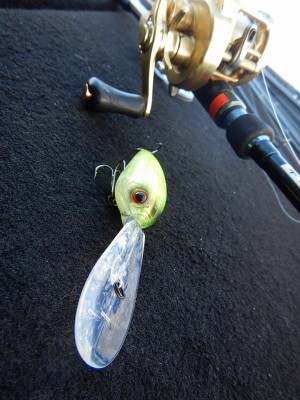 hideup 豌ｸ驥守ｷ丈ｸ譛� 繝悶Ο繧ｰ蜀咏悄 2017/12/17