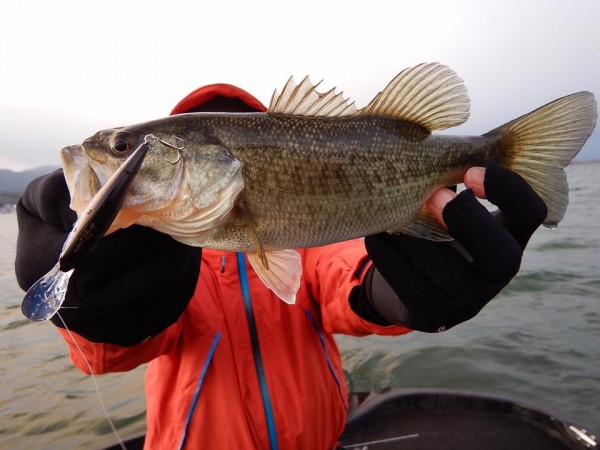 hideup 永野総一朗 ブログ写真 2018/01/06