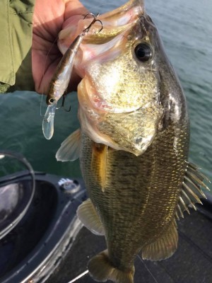 hideup 永野総一朗 ブログ写真 2018/01/08