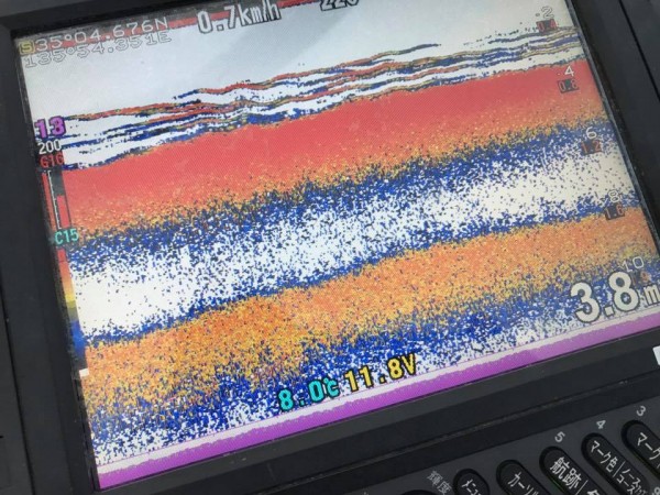 hideup 永野総一朗 ブログ写真 2018/01/08