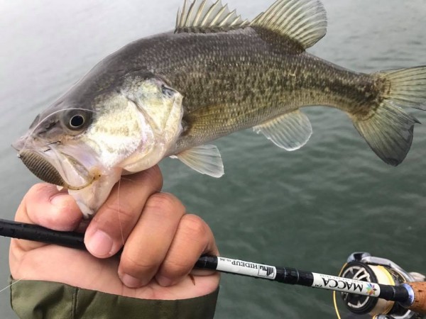 hideup 永野総一朗 ブログ写真 2018/01/09