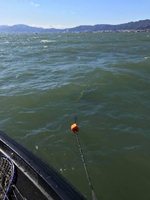 hideup 永野総一朗 ブログ写真 2018/01/11