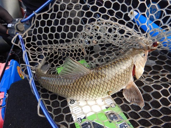 hideup 永野総一朗 ブログ写真 2018/01/16